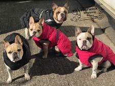 Hurtta Summit Parka Dog Coat