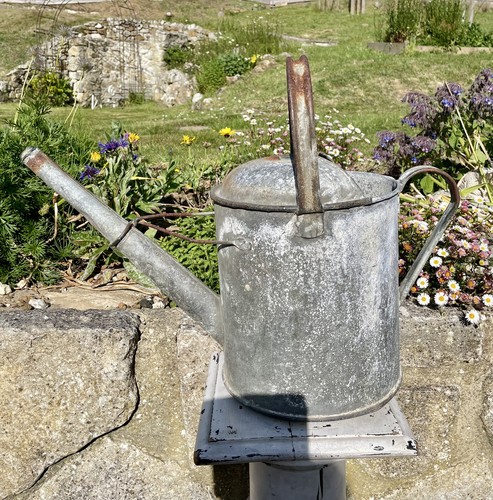 Vintage watering can - vintage,