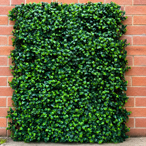 Artificial laurel leaf - laurel, privacy