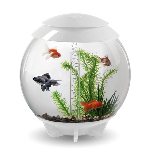 Biorb halo aquarium - biorb,