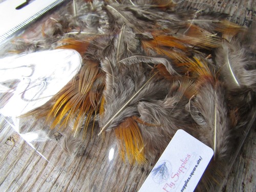 Ifs natural golden - ifs,