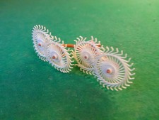 Britains - Acrobat Hay Rake