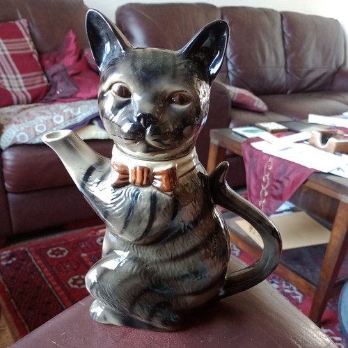Tony wood studio - studio, cat