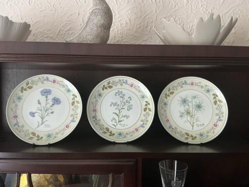 Aynsley wild tudor plates trio - aynsley,