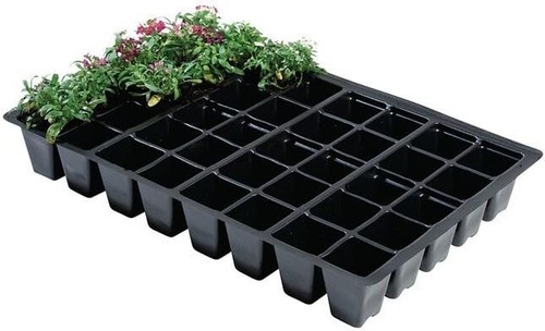 Pack seed tray insert - tray,