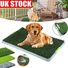 Indoor Dog Pet Potty Zoom