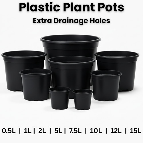 Black plastic plant pots - plant,
