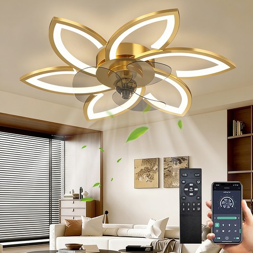 Ceiling fans with lights and - ceiling,