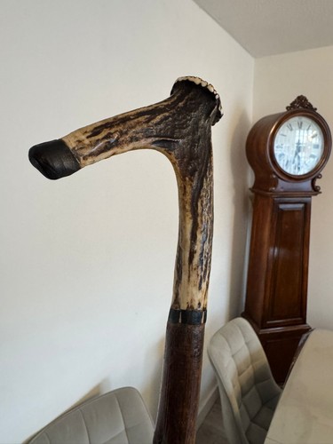 Hand crafted hazel horn - ,