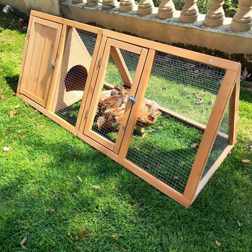 Rabbit hutch outdoor chicken - rabbit,