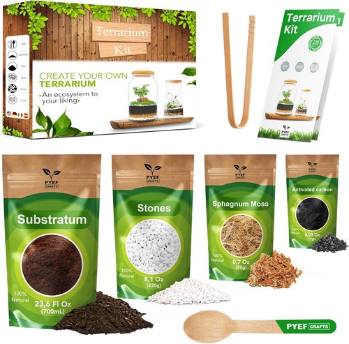 Diy terrarium kit plants - terrarium,