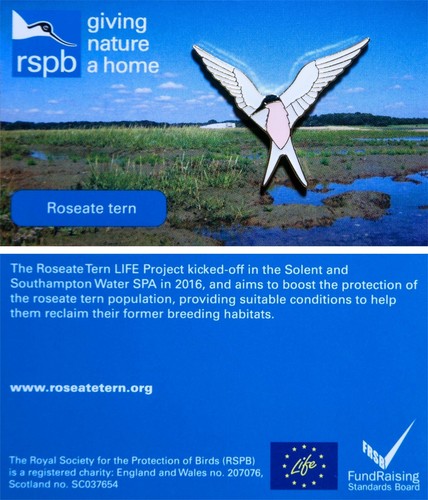 Rspb pin badge - badge, gnah