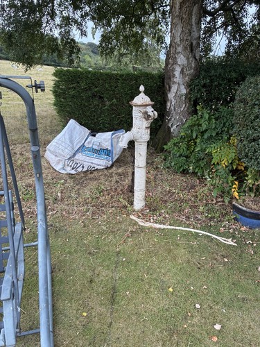 Antique victorian cast - cast, iron