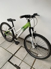 Raleigh AT20 Ladies Mountain