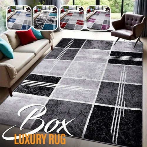 Modern large living - room, rugs