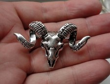 Goat Rams Head Skull with