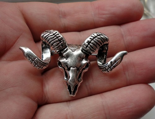 Goat rams head - rams, with