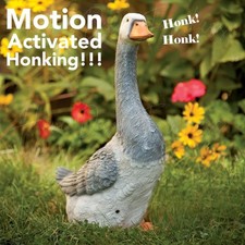 Motion Activated Honking