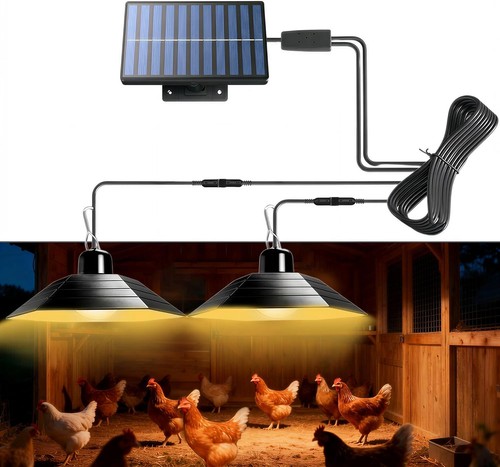 Solar chicken coop - coop, with