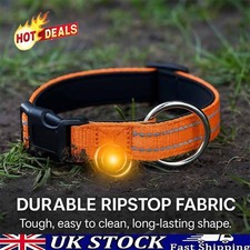 Pawliberation Magnetic Dog