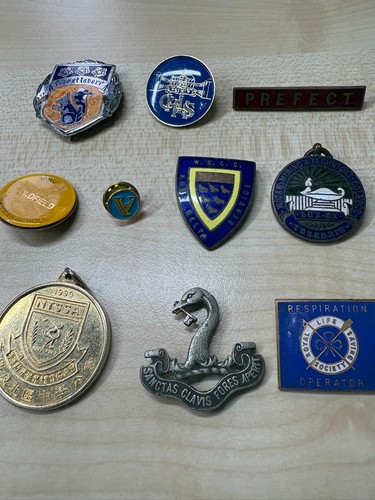 Vintage school pin badges - vintage,