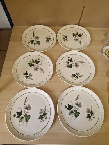 Royal worcester palissy - , x