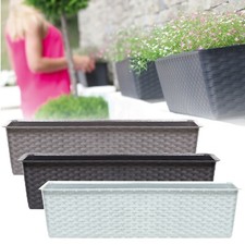 Rectangle Rattan Plastic