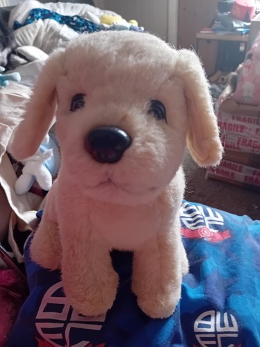 Andrex puppy plush 26cm - puppy,