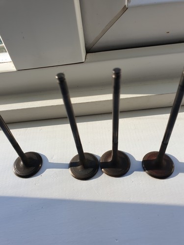 Kawasaki zx9r exhaust valves - zx9r,