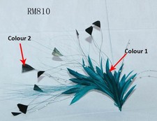 80 Colours Goose Feather