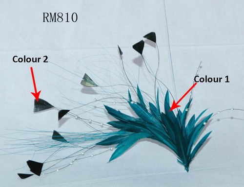 Colours goose feather - colours,
