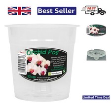 Modern 12cm Clear Plastic