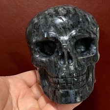 Black Obsidian Skull - Glossy Gothic Sculpture - Healing Crystal Art - 2.25LB