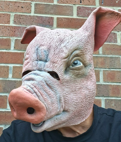 Pig mask fancy dress costume - pig,