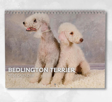 Bedlington Terrier Calendar
