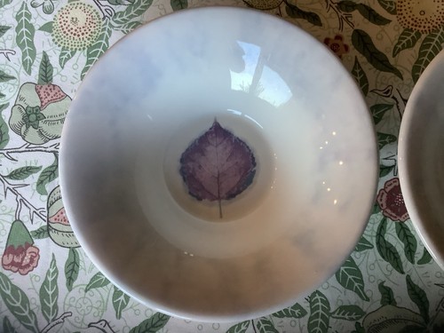 Portmeirion dusk bowls - portmeirion, x