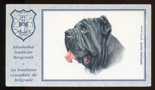 NEAPOLITAN MASTIFF Italian Dog