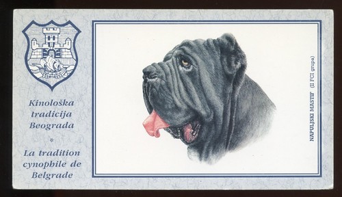 Neapolitan mastiff italian dog - neapolitan,