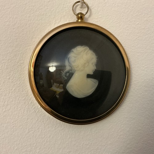 Pony tailed girl cameo from - tailed,