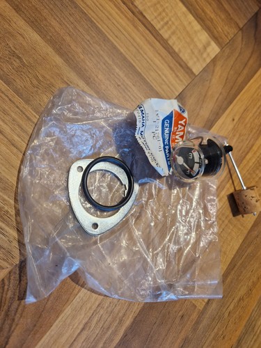 Yamaha rxs100 float level - rxs100,
