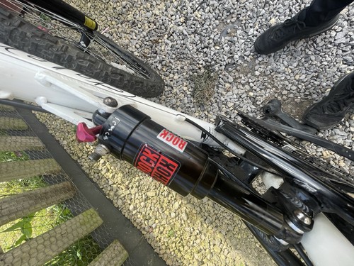Saracen raw - ,