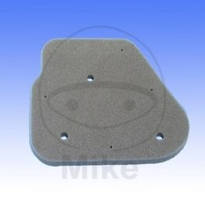 Air Filter Athena For Aprilia