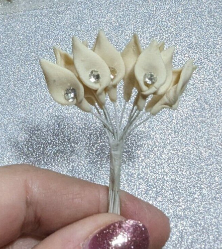 Arum lily miniature calla - lily,