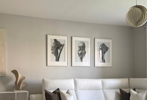 Concept wall art set - bo,