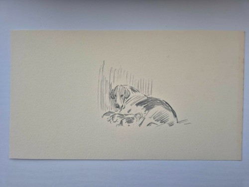 Antique pencil drawing fox - antique,