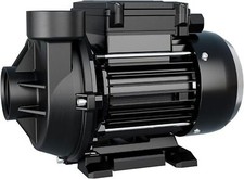 FOTING 1/3HP Swimming Pool