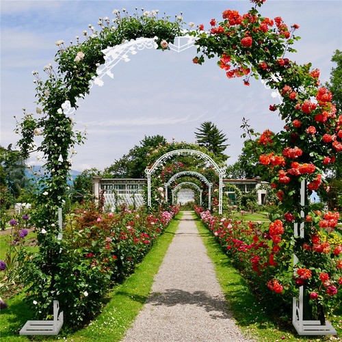 Wisfor metal wedding garden - wisfor,