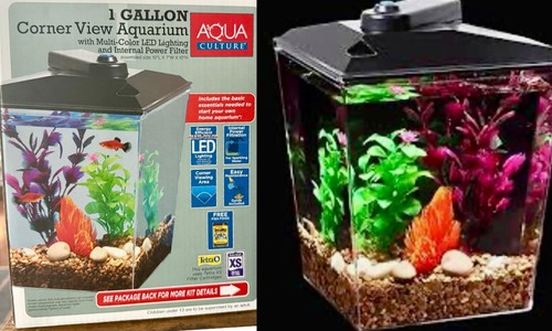 Aqua culture gal corner - culture,