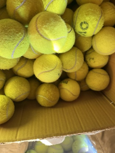 Used tennis balls good - tennis,