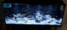 Aquarium Sand White Gravel Fish Tank Substrate for Malawi Cichlid DOLOMITE 30kg 